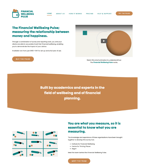 Financial Wellbeing Pulse website designed by AFWD